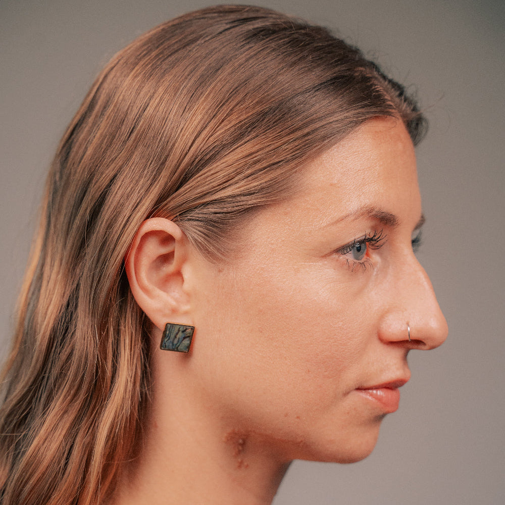 Paua Shell Studs